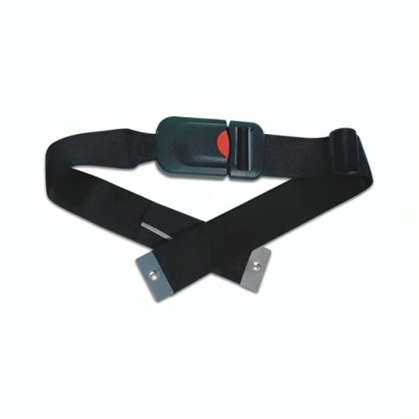 Wheelchair Seat Belts