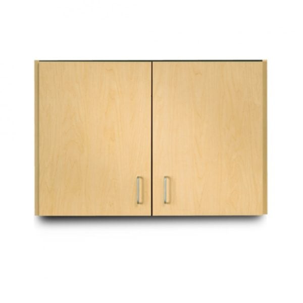 Wall Cabinet With 2 Doors