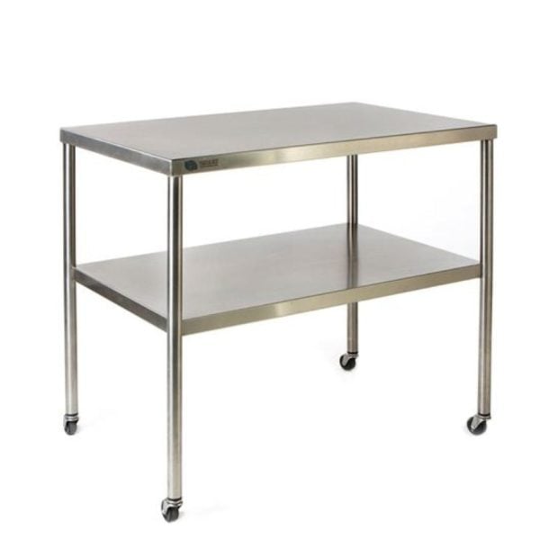 Stainless Steel Instrument Table 24"L x 48"W x 34"H