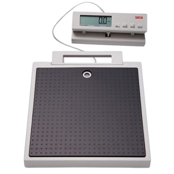 Flat Scale with Remote Display