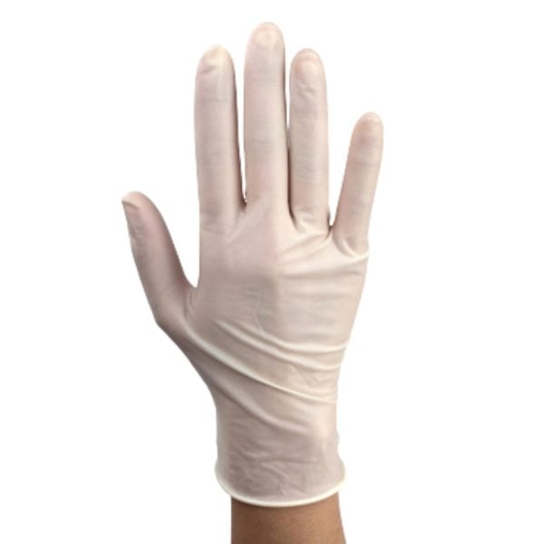 Powder-Free Plus Latex Exam Gloves, PolyLined