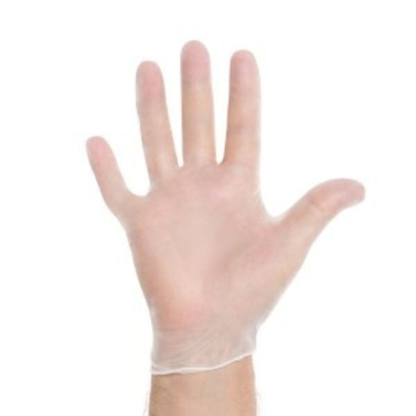 Clear Synthetic Vinyl Exam Gloves, Powder Free, Large - Image 3