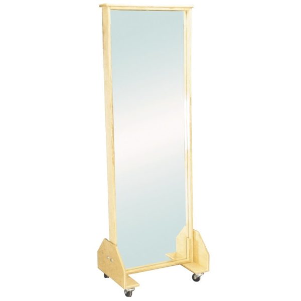 Mobile Posture Mirror