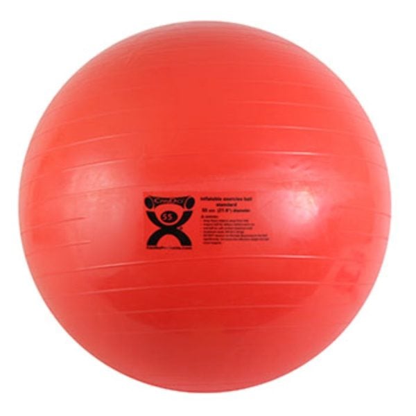 CanDo Inflatable Exercise Balls - Image 2