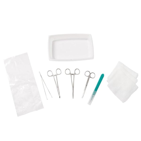 Incision and Drainage Tray