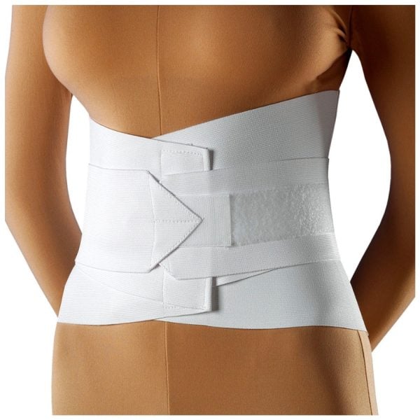 Lumbar Sacral Support DCSO - Image 2