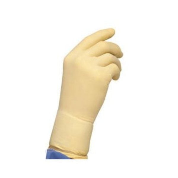 CP100 BT Ambi Protective Gloves